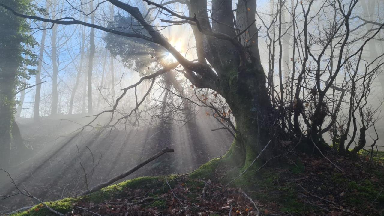 Appartamento Casa Angiz Etxea Sumbilla Esterno foto